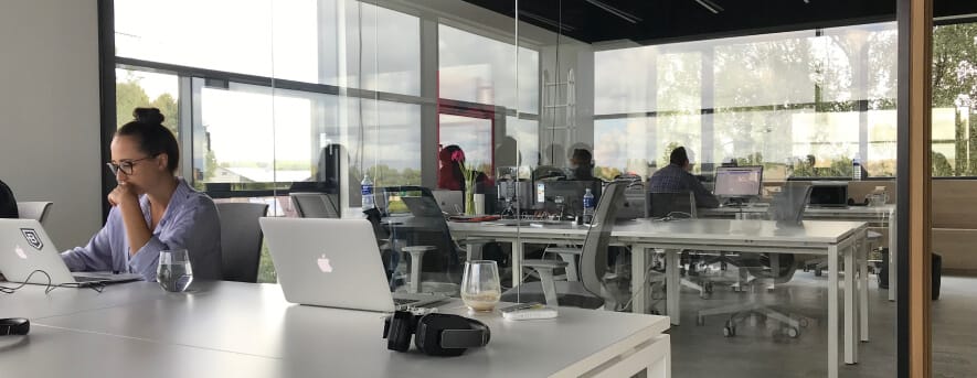 BitDegree company image