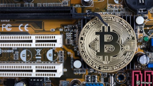 DOT Mining Trend Gains Momentum: Daily Earnings Reported as High as $3,200